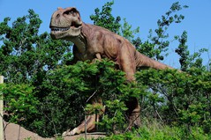 dinosaur-2jpg-9301e4bbc4891d42.jpg
