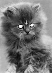 satanicpussy.jpg