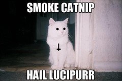 smokecatniphaillucypurr.jpg smokecatniphaillucypurr.jpg