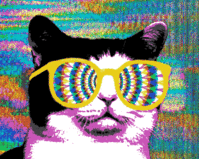 cat-laser.gif cat-laser.gif