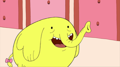 tree trunks.png