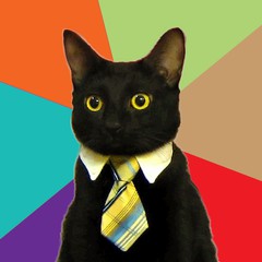 BusinessCat2.jpg