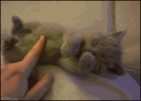 1310255040537.gif