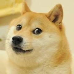 image.jpg image.jpg