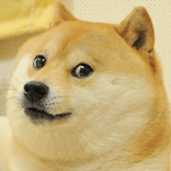 tmp_1372726527570826813565379.gif