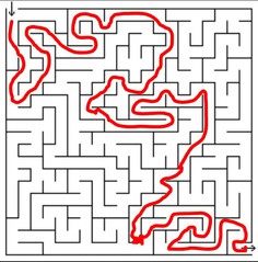 maze.JPG