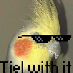 tiel_with_it4.jpg