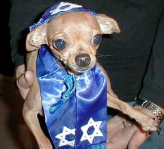 jewish.jpg