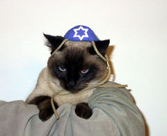 cathats_yarmulke.jpg