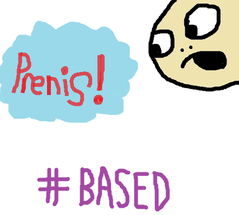 prenis.png