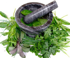 herbs.jpg
