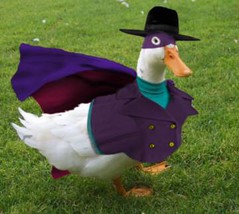 The_Unknown_Duck.jpg The_Unknown_Duck.jpg