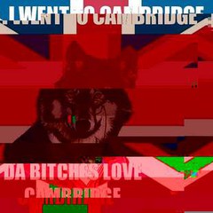 image.jpg