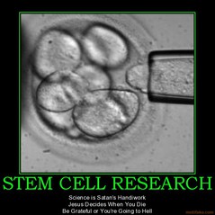 stem-cell-research.jpg