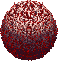 1372042827070.gif 1372042827070.gif