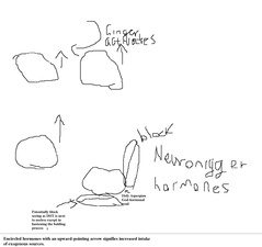niggers.png niggers.png