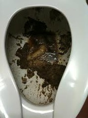 shit.jpg shit.jpg