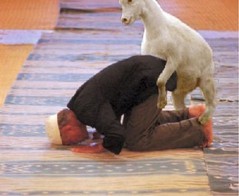 goat+fuck+prayer.+dirka+Allah_b3e29a_3791085.jpg