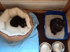 image.jpeg image.jpeg