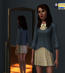 sim.png sim.png