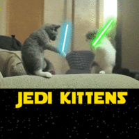 4423.gif