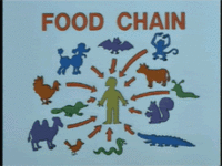 food_chain-anim.gif