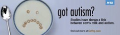 got-autism-560x165.jpg