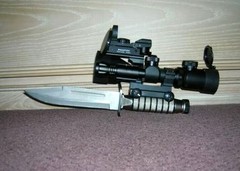 weapon.jpg