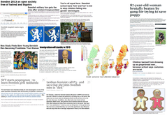 swe.png