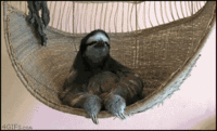 hfrJ6.gif