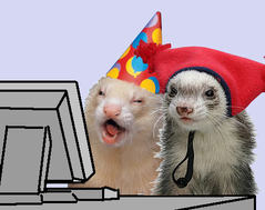 compferret.png