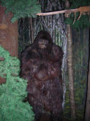 bigfoot12-bigfootevidence-dot-blogspot-dot-com.jpg
