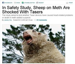 sheep-on-meth.jpg
