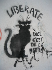 san-cristobal-days-july-2010-007_0.JPG