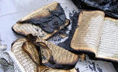 crispykoran.jpg crispykoran.jpg