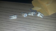 IMG_20130924_063713_308.jpg