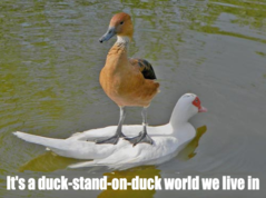 b99ef1a4eeedacdfa131efbbb16e64c714d01b7d.png