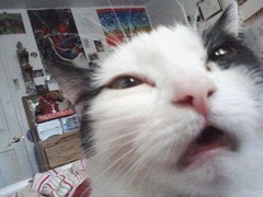 1380472830510.jpeg