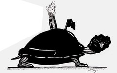 anarchyturtle.jpg