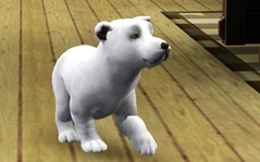 Screenshot-373.jpg