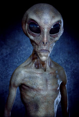 grey_alien_iv_by_mrthirdeyeching-d4ge9np.jpg