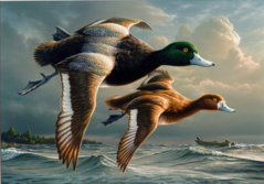duck-art.png