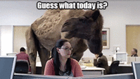 657.gif