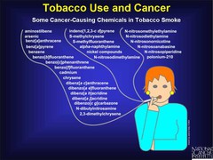cancer27.jpg