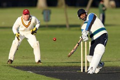 cricket_2.jpg