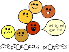 picture-45.png picture-45.png