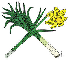 flat,800x800,070,f.u1.jpg