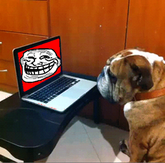 Teh-Doctoar-Sux.PNG