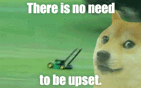 tmp_icVkVbv568260168.gif