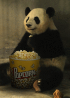 11261.gif